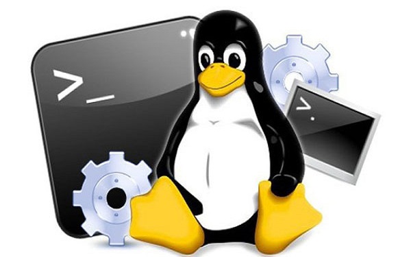 Top 50+ Linux Commands You MUST Know